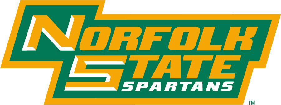 Norfolk State Spartans 1999-Pres Wordmark Logo v2 iron on transfers for clothing